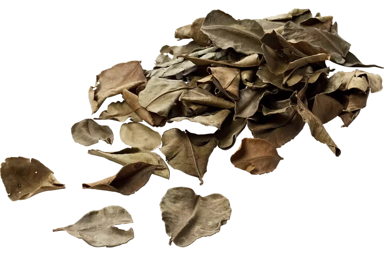 Djeroek poeroet gedroogd 100gr stuk